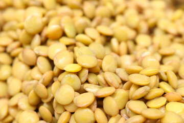 lentil background. lentil with selective focus. set of lentils.