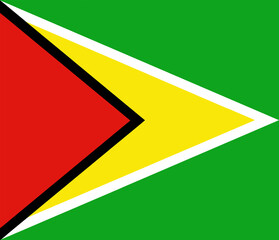 Guyana flag