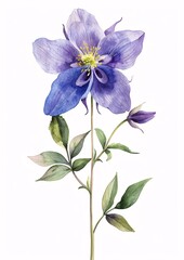 Fototapeta premium Colorful Digital Floral Illustration of a Single Flower with Texture and Watercolor Effects