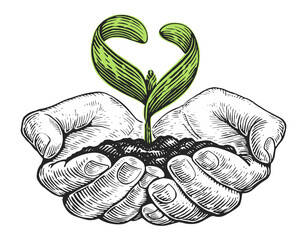 Hands plant seedlings in the soil. Earth day ecology concept, protection of nature and environment