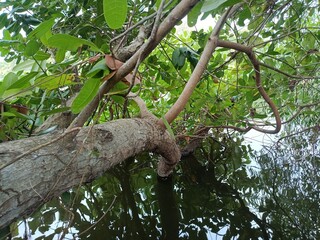 Fototapeta premium Views of the beautiful landscape of Kerala, India