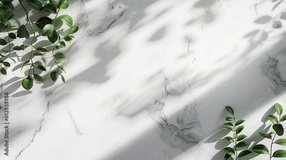 Poster empty marble board with green leaves on a light background with shadow layout concept for presentati