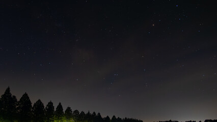 Fototapeta premium 宇宙の輝きと木々の静寂