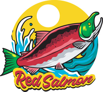 Vector Illustration of Sockeye Salmon and Waves with Vintage Illustration Available for Fishing Logo