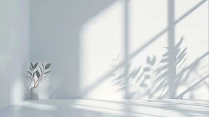 Abstract white studio background for product presentation Empty gray room with shadows of window...