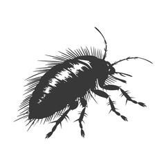 Silhouette lice animal black color only