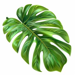 Tropical green leaf, illustration.  3d cartoon style.