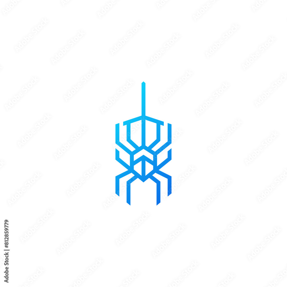 Poster spider shield web technology, logo design.