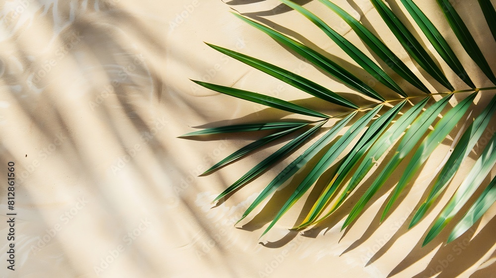 Poster Top view of green tropical leaf shadow on sand color background Flat lay Minimal summer concept with palm tree leaf Creative copyspace : Generative AI
