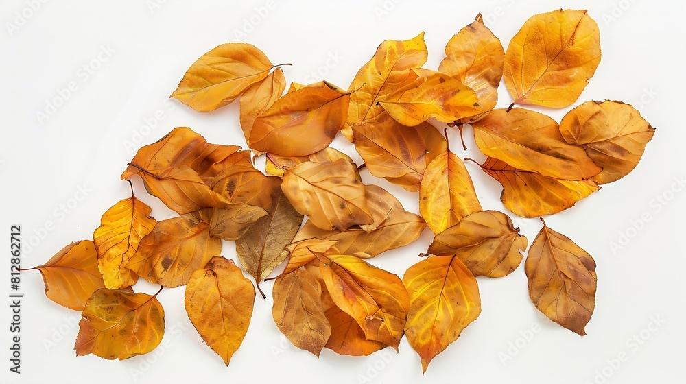 Poster autumn creative composition dried leaves on white background fall concept autumn background flat lay