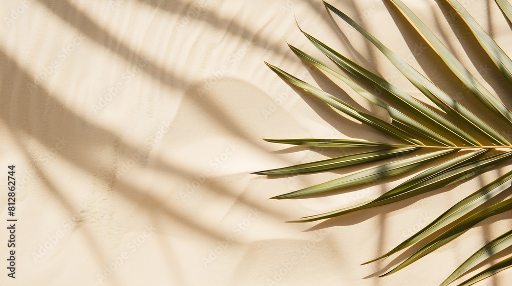 Poster aesthetic palm leaf on shadow on sand background texture copy space minimal summer concept : generat