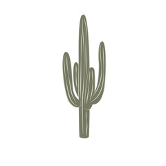 Cactuses