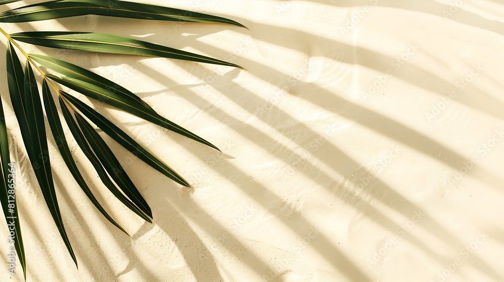 Aufkleber Aesthetic Palm Leaf on Shadow on Sand Background Texture Copy Space Minimal Summer Concept : Generative AI