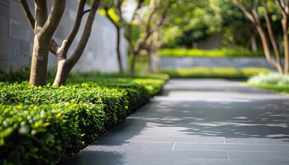 A Pristine Glimpse of Royal Greenery in Home Pathway