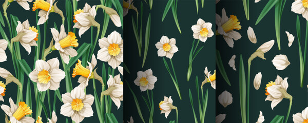 Set of seamless patterns with spring flowers. Texture with daffodils and petals. Vector graphics. Easter background. Great for wallpaper, fabric, cards.