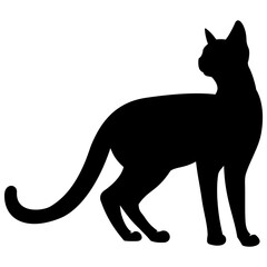 cat, black silhouette, vector icon
