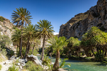Preveli beach (Grèce - Crète)