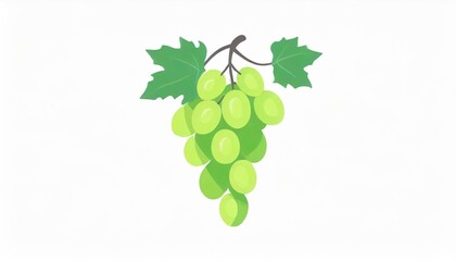 マスカット　白背景