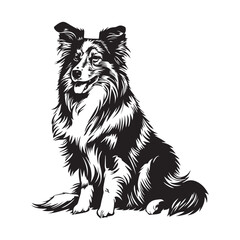 border collie papillon dog silhoutte art high quality vector for prints