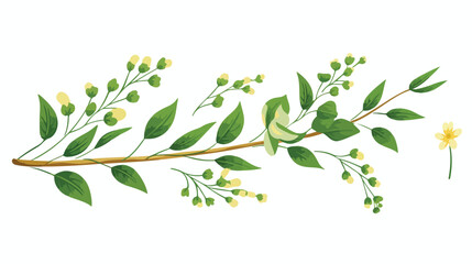 Green sesame branch with grains. Vector hand drawn