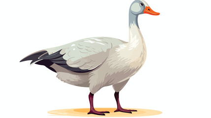 Naklejka na ściany i meble Grey goose poultry illustration sketch farm feather