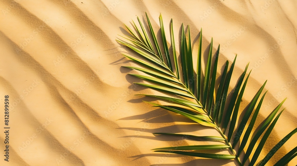 Aufkleber aesthetic palm leaf on shadow on sand background texture copy space minimal summer concept : generat