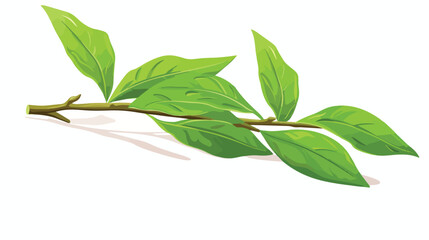 Hand drawn fresh green tea leaf bud twig sketch sty