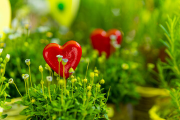 red heart is placed in a field of green grass