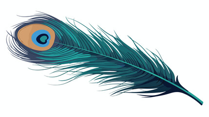 Hand drawn peacock tail bird feather sketch style v