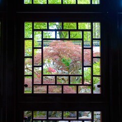 格子窓から見る豫園の景色　上海　中国