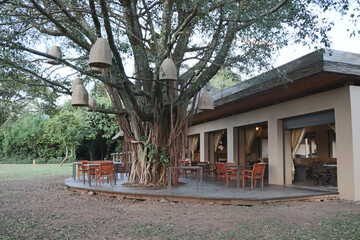 terrace of a restaurant in the middle of savannah