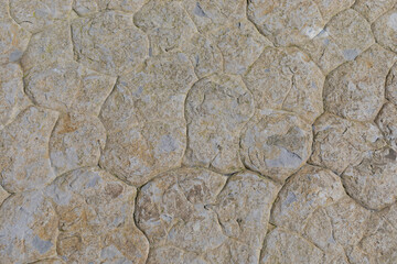 Stone texture worn by the wind and the sea of ​​the coast located on a wild beach.