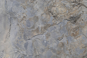 Stone texture worn by the wind and the sea of ​​the coast located on a wild beach.