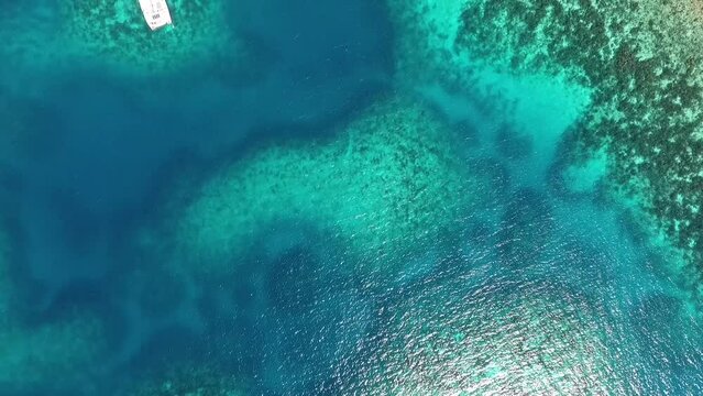 Tropical Caribbean overhead
