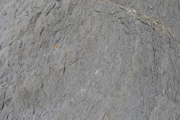 Stone texture worn by the wind and the sea of ​​the coast located on a wild beach.