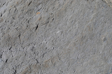 Stone texture worn by the wind and the sea of ​​the coast located on a wild beach.