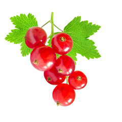 Bunch of red currants on a white background