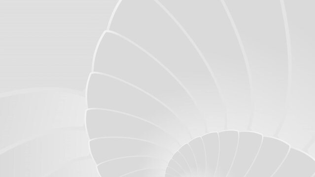 Moving Spiral Shell Background White And Light Gray