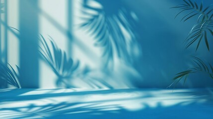 Abstract gradient blue studio background for product presentation Empty room with shadows of window and flowers and palm leaves  3d room with copy space Summer concert Blurred backdrop : Generative AI