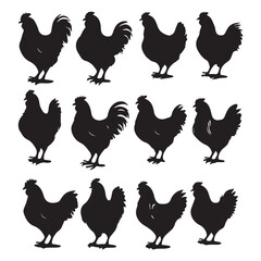 Vector collection of chicken or hen silhouettes