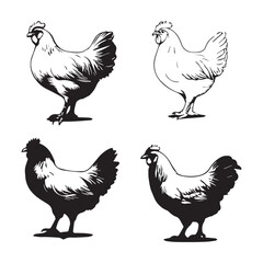 Vector collection of chicken or hen silhouettes