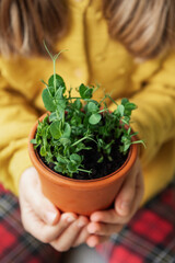 A child, dressed in a vibrant yellow sweater, delicately holds a terracotta pot with a green plant.