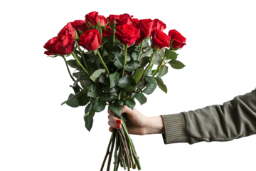 Red roses bouquet in hand on isolated transparent background