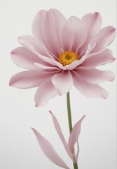 Obraz premium Pink Lotus Blossom