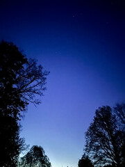 Fototapeta premium Northern lights or Aurora borealis in the sky