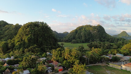 View of rice fields in the countryside at sunset