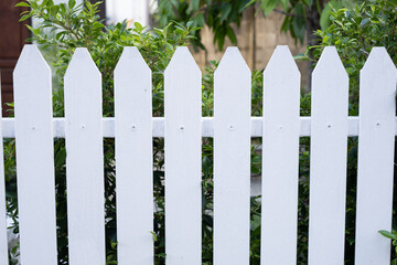 A white picket fence with green bushes in the background
