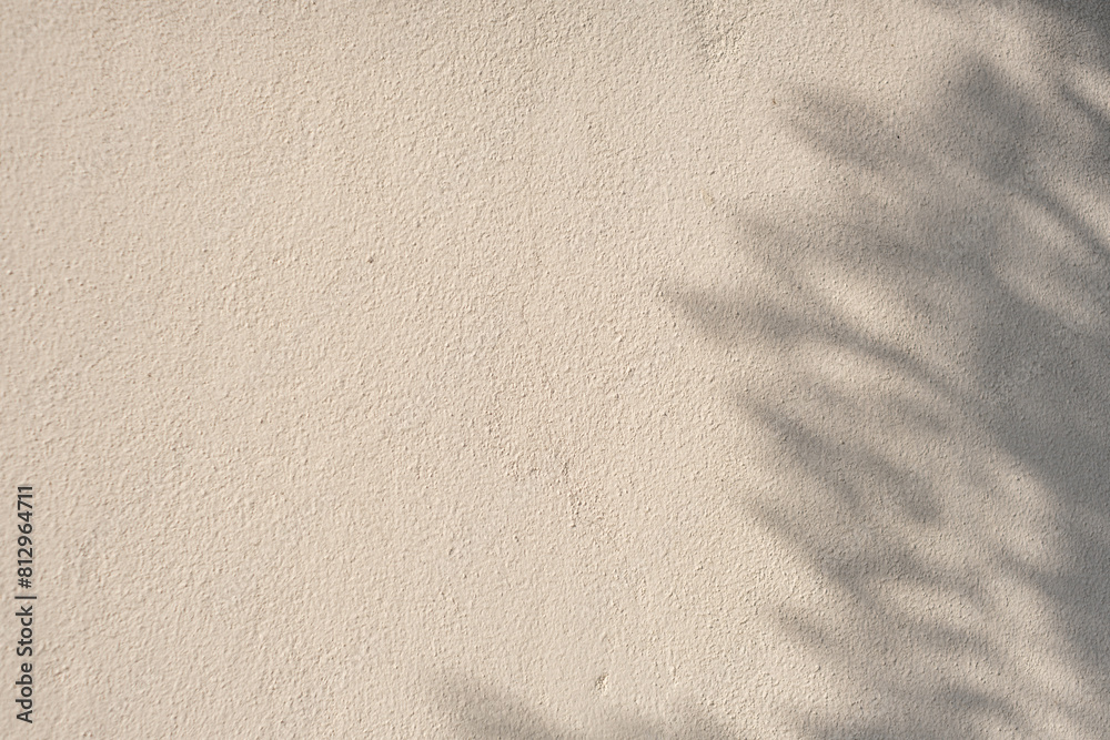 Wall mural A white wall brown beach san and sun with a shadow of a tree