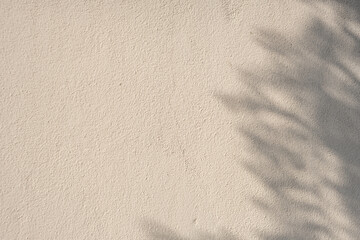 A white wall brown beach san and sun with a shadow of a tree