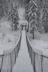 A snow-covered suspension bridge with no trace of passage leading from one bank of the river to the other in a Siberian forest